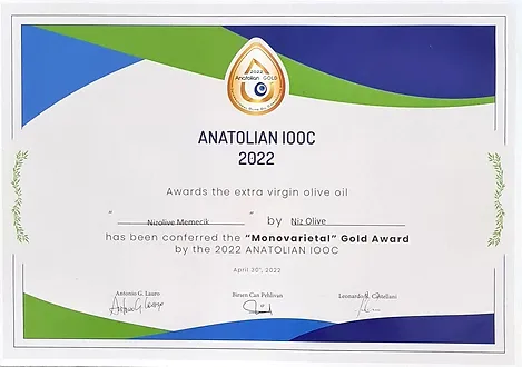 Anatolian IOOC 2022 Gold Award, Nizolive Memecik